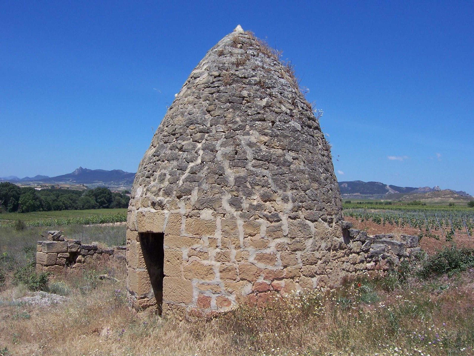 A conical dry-stone guardaviñas hut standing at the edge of vineyards near Haro, with hills behind.