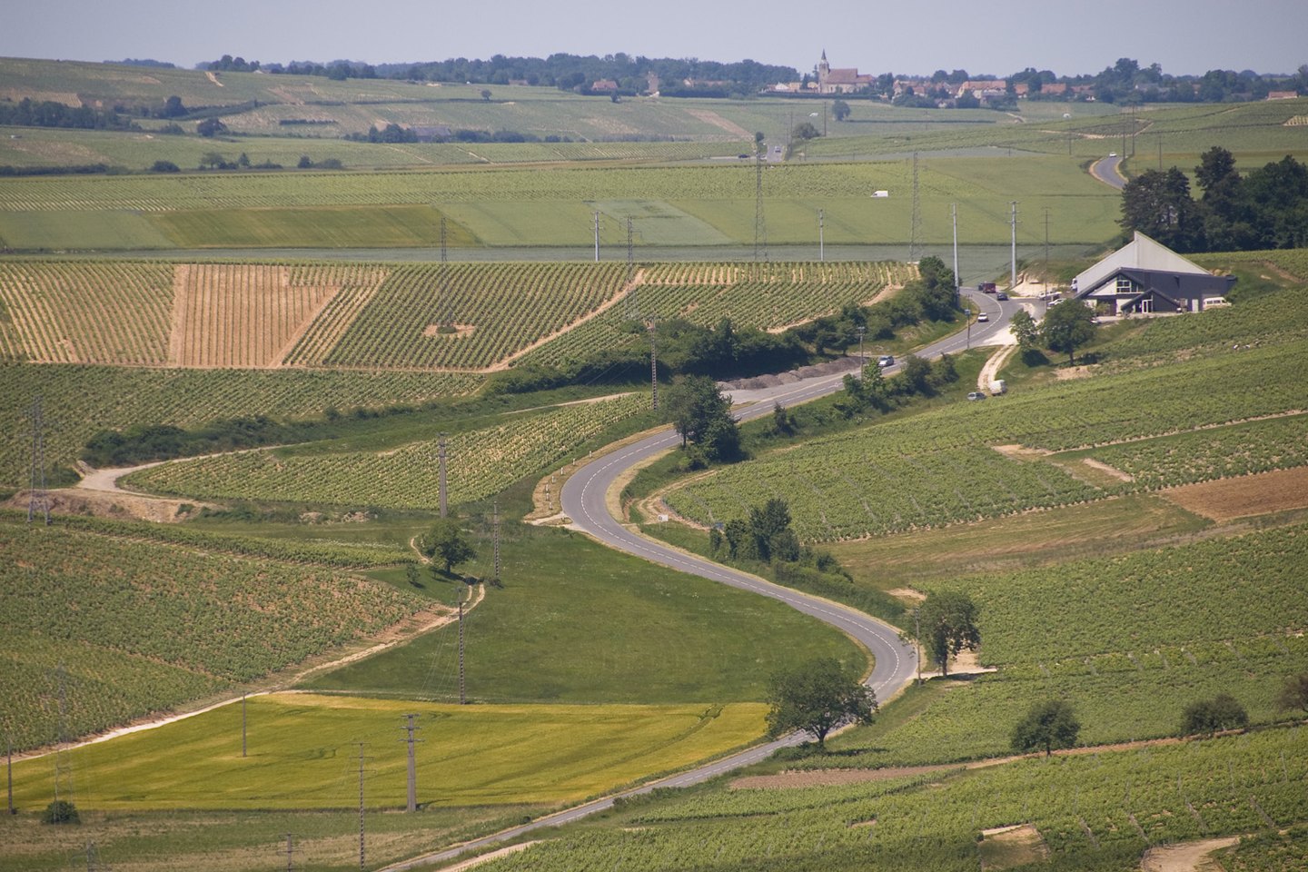 Vineyard parcels, fields and a road winding between slopes at Sancerre, with a village and church tower on the ridge behind.