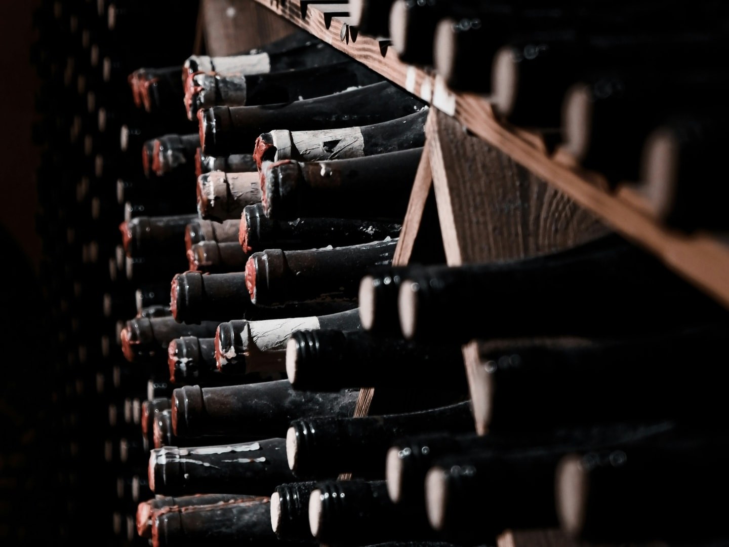 Dust-covered wine bottles stacked horizontally on cellar shelves.